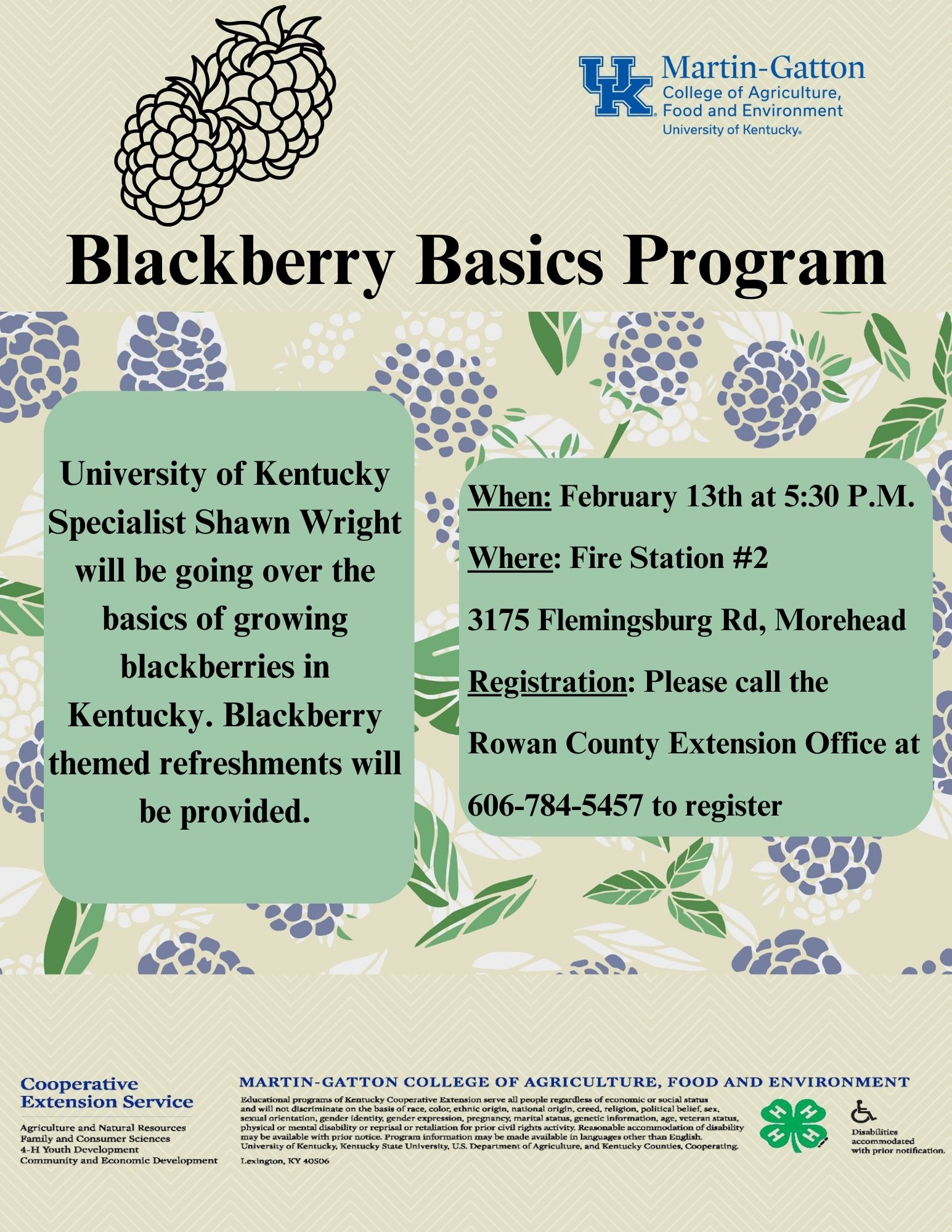 Blackberry Basics Program