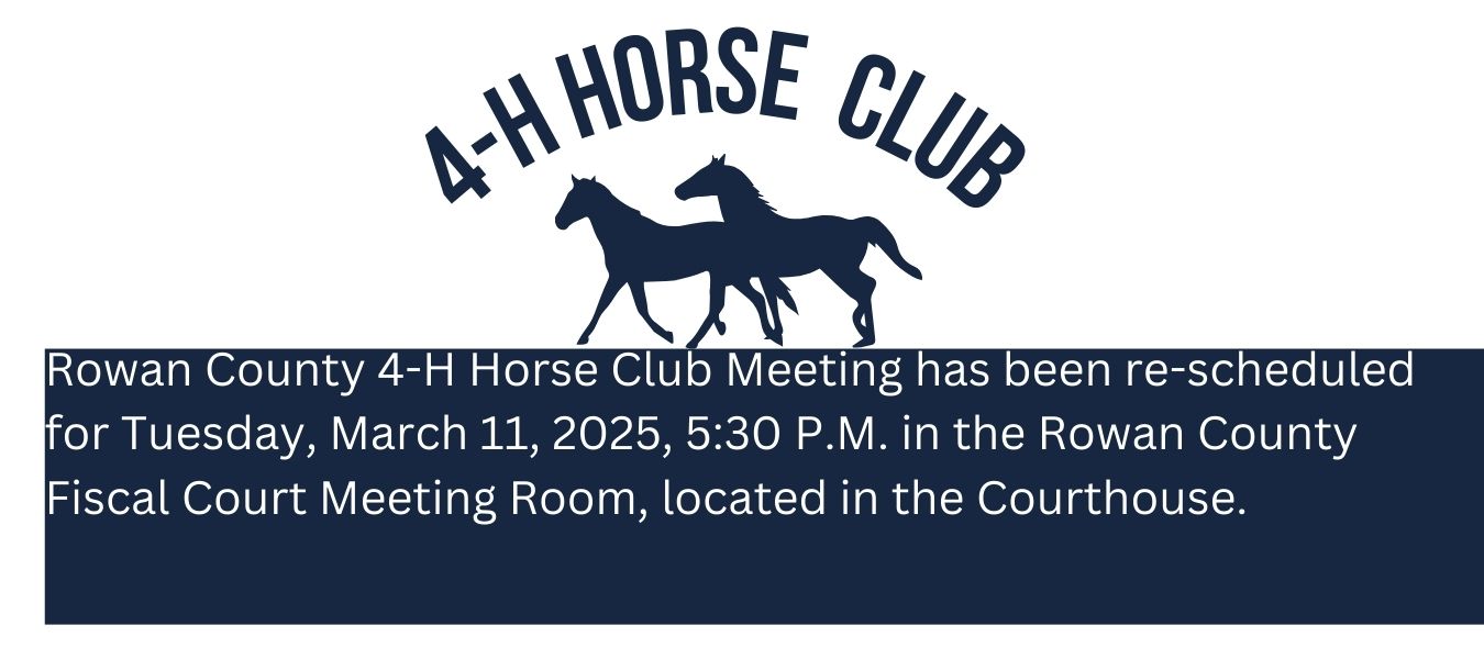 4-H Horse Club Meeting