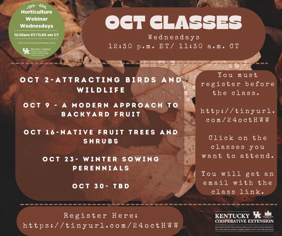 October Classes