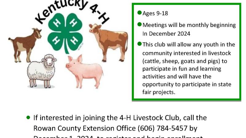 4-H Livestock Club