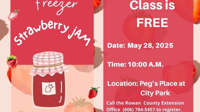 Adult Freezer Strawberry Jam  Canning Class