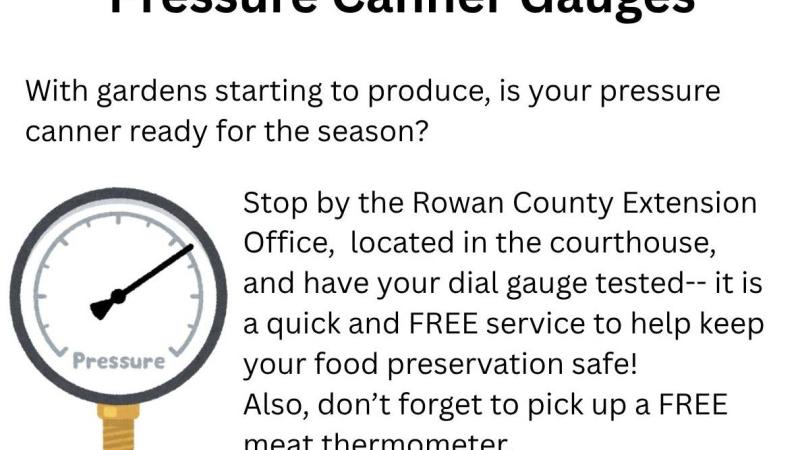 Pressure canner gauges