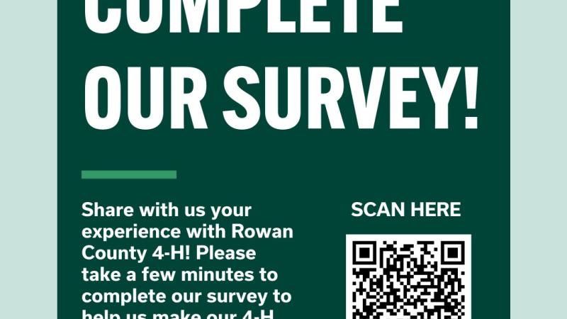 4-H Survey